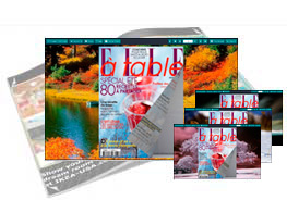 Coldair theme of templates help quick building page-flipping books